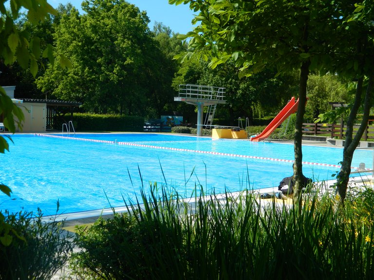 Freibad mit Sprungturm, davor Pflanzen