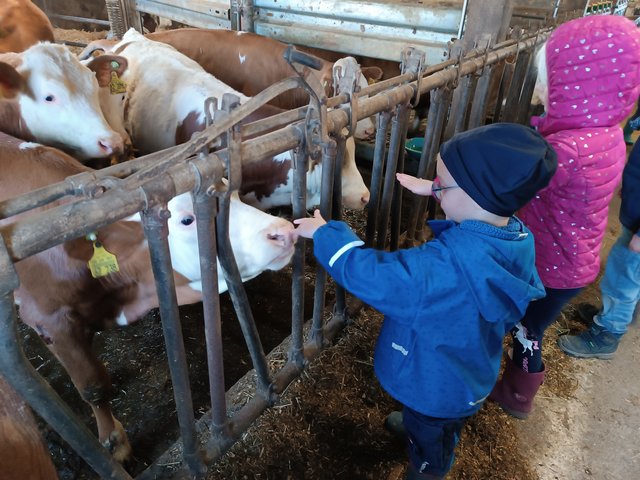 Kindergartentag auf dem Bauernhof