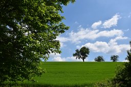 Die Vegetationszeit begann am 1. März