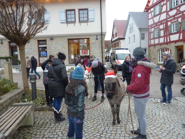 Große Freude lösten die erstmals angebotenen Eselführungen bei zahlreichen Kindern aus.