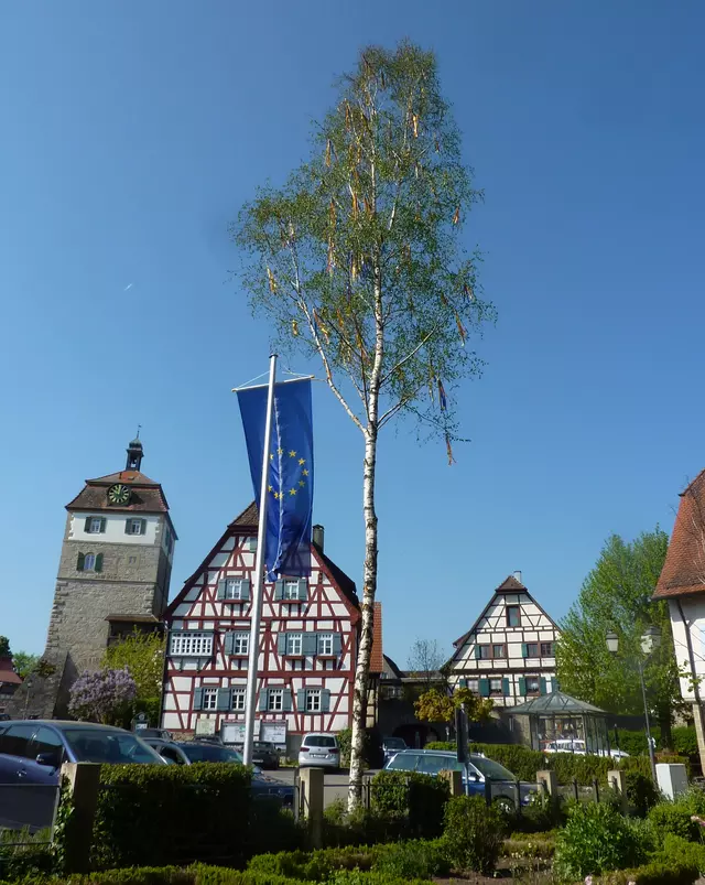 Maibaum