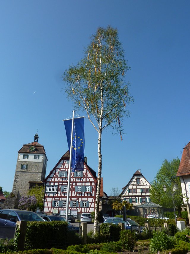 Maibaum in Vellberg