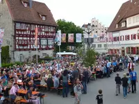 Zum 45. Mal hat vom 6. bis 8. Juli 2012 der Weinbrunnen geplätschert.