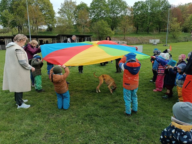 Zu Besuch bei den Hohenloher Hundefreunden