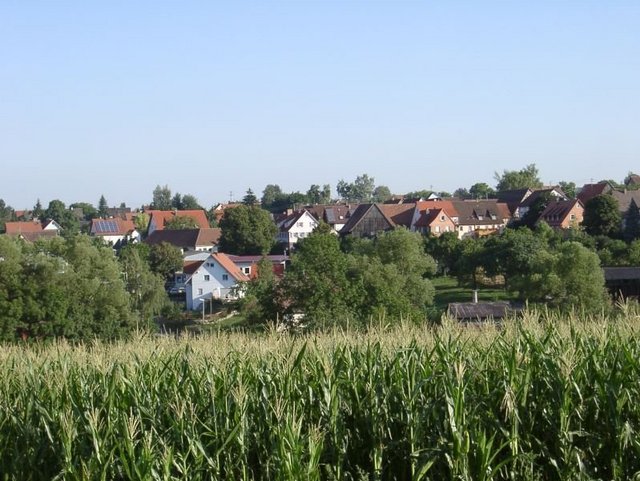 Blick auf Kleinaltdorf von einem Feld