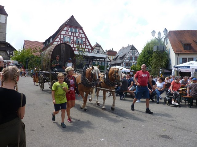 Beim historischen Einzug mit der Einbringung des Weinzehnten darf das Pferdegespann nicht fehlen.